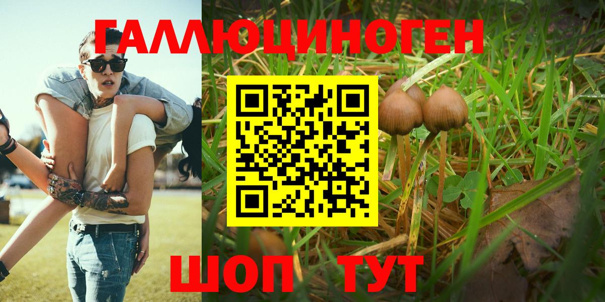 Галлюциногенные грибы MAGIC MUSHROOMS  Вход с VPN  Дятьково 